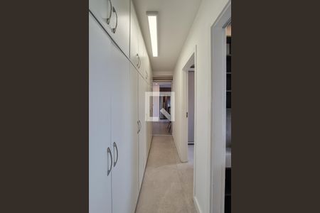 Corredor de apartamento para alugar com 2 quartos, 44m² em Parque Bristol, São Bernardo do Campo