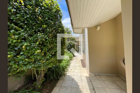 Quintal de casa de condomínio para alugar com 4 quartos, 505m² em Jardim Passargada I, Cotia