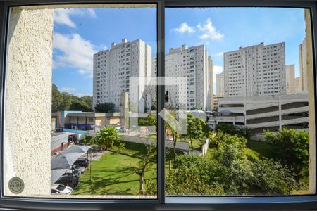 Sala - Janela de apartamento para alugar com 2 quartos, 44m² em Jardim Iris, São Paulo