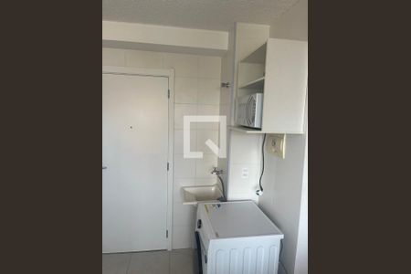 Cozinha de apartamento para alugar com 2 quartos, 31m² em Cambuci, São Paulo