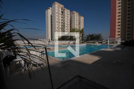 Área comum - Piscina de apartamento para alugar com 2 quartos, 68m² em Vila Ivone, São Paulo