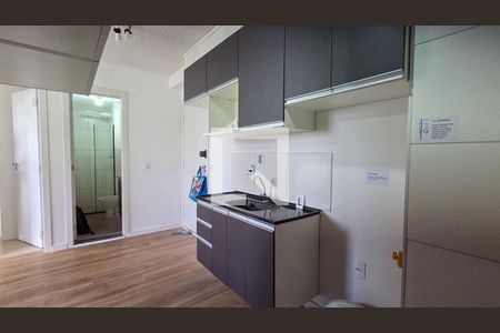 Cozinha de apartamento para alugar com 2 quartos, 35m² em Usina Piratininga, São Paulo