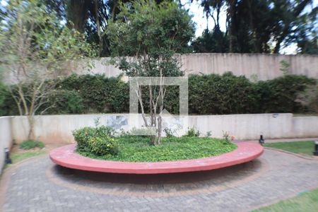 Área comum de apartamento para alugar com 2 quartos, 55m² em Parque Viana, Barueri