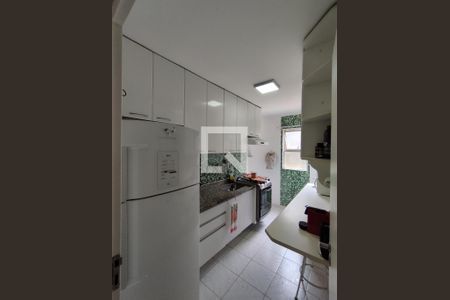 Cozinha - Armários de apartamento à venda com 2 quartos, 62m² em Jardim Santa Emilia, São Paulo