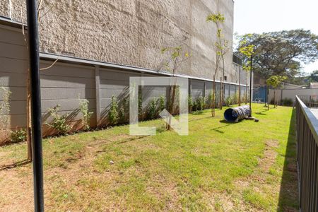 Espaço pet de apartamento para alugar com 2 quartos, 41m² em Vila Butantã, São Paulo