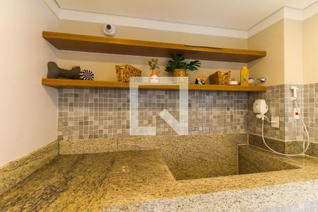 Pet care de apartamento para alugar com 2 quartos, 32m² em Vila Carmosina, São Paulo