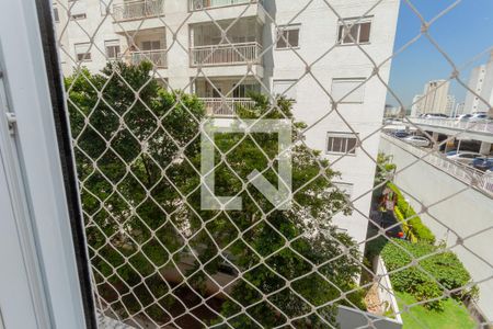 Vista do Quarto Suíte de apartamento à venda com 3 quartos, 81m² em Vila Isa, São Paulo
