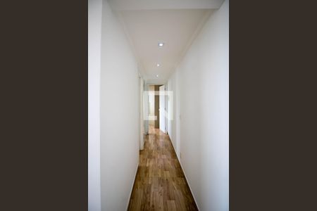 Corredor de apartamento para alugar com 2 quartos, 40m² em Jardim Taboao, São Paulo