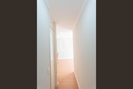 Corredor de apartamento para alugar com 2 quartos, 58m² em Jardim Dom Vieira, Campinas