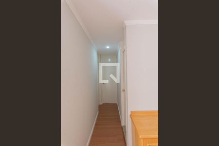 Corredor de apartamento para alugar com 2 quartos, 58m² em Jardim Dom Vieira, Campinas