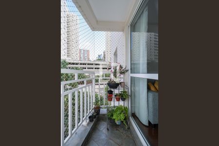 Apartamento para alugar com 2 quartos, 74m² em Vila Andrade, São Paulo