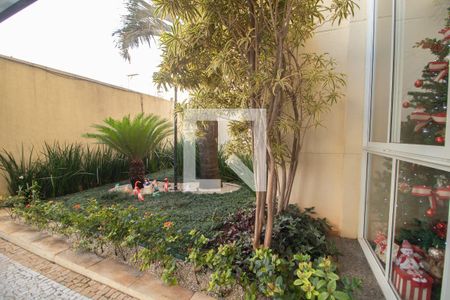 Jardim de apartamento à venda com 3 quartos, 55m² em Vila Mazzei, São Paulo