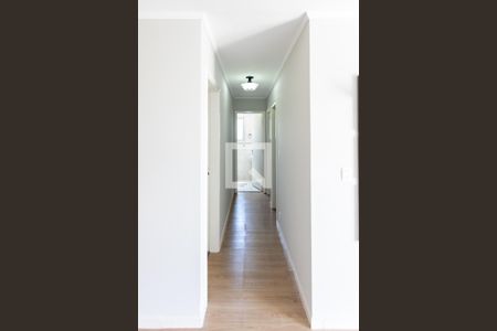 Corredor de apartamento para alugar com 2 quartos, 60m² em Vila Nova Teixeira, Campinas