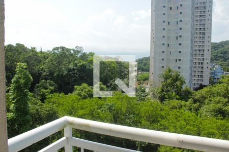 Varanda da Sala de apartamento para alugar com 2 quartos, 52m² em Morro Nova Cintra, Santos