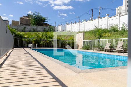 Área comum - Piscina de apartamento à venda com 2 quartos, 43m² em Caiapos, Contagem