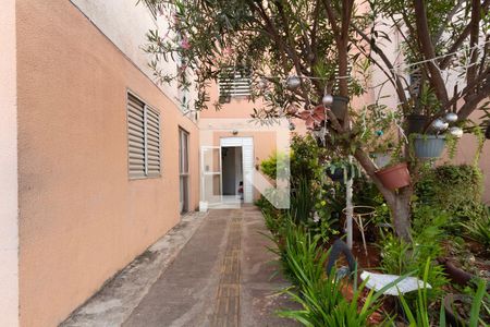 Área comum de apartamento para alugar com 2 quartos, 50m² em Jardim Betania, Sorocaba