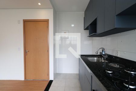 Cozinha de apartamento para alugar com 2 quartos, 44m² em Vila Guiomar, Ribeirão Preto