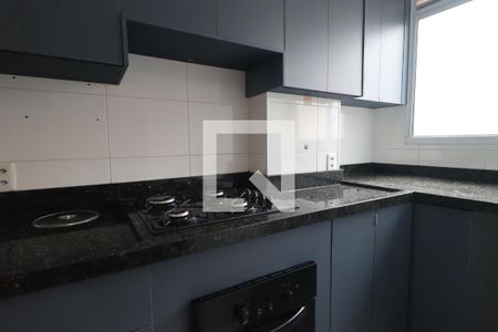 Cozinha de apartamento para alugar com 2 quartos, 44m² em Vila Guiomar, Ribeirão Preto