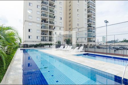 Área comum - Piscina de apartamento para alugar com 2 quartos, 58m² em Rudge Ramos, São Bernardo do Campo