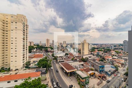 Apartamento à venda com 2 quartos, 75m² em Vila Mascote, São Paulo