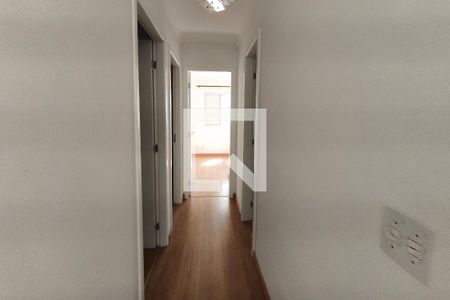 Corredor - Quartos de apartamento para alugar com 3 quartos, 62m² em Vila Faustina Ii, Campinas