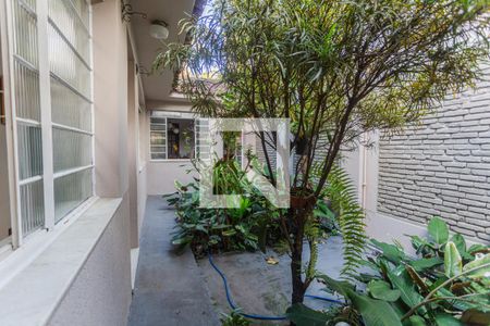 Jardim de Inverno no Corredor de casa à venda com 6 quartos, 640m² em Santa Efigênia, Belo Horizonte