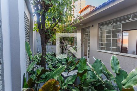 Jardim de Inverno no Corredor de casa à venda com 6 quartos, 640m² em Santa Efigênia, Belo Horizonte