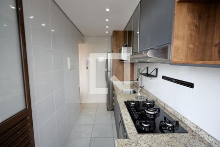 Cozinha de apartamento para alugar com 2 quartos, 55m² em Santo Antônio, São José dos Pinhais