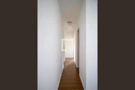 Corredor  de apartamento para alugar com 3 quartos, 83m² em Vila Suzana, São Paulo