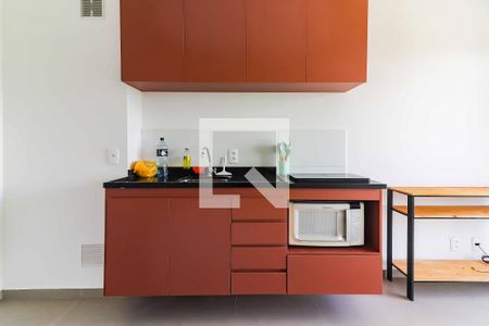 Cozinha e Área de Serviço de apartamento para alugar com 1 quarto, 26m² em Vila Butantã, São Paulo