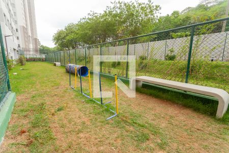 Espaço Pet de apartamento para alugar com 2 quartos, 35m² em Usina Piratininga, São Paulo