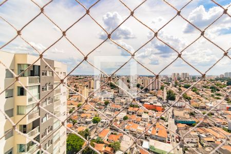 Kitnet/Studio para alugar com 2 quartos, 70m² em Vila Santa Catarina, São Paulo