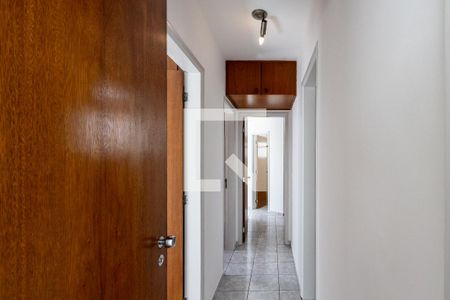 Corredor de apartamento para alugar com 3 quartos, 89m² em Vila Bela Alianca, São Paulo