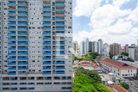 Vista do Quarto 1 de apartamento para alugar com 2 quartos, 36m² em Chácara Inglesa, São Paulo