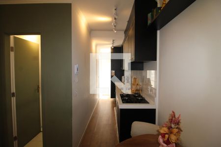 Sala / Cozinha de apartamento para alugar com 2 quartos, 56m² em Vila Pauliceia, São Paulo
