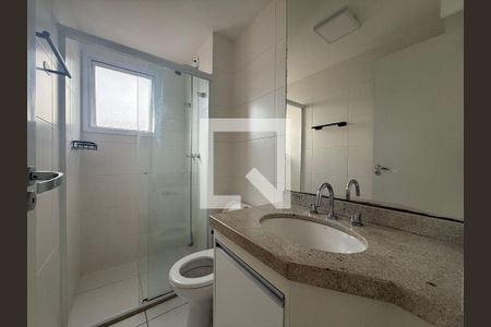 Banheiro da Suíte de apartamento para alugar com 2 quartos, 55m² em Vila Gumercindo, São Paulo