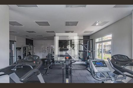 Área comum - Academia de apartamento para alugar com 2 quartos, 59m² em Sacomã, São Paulo