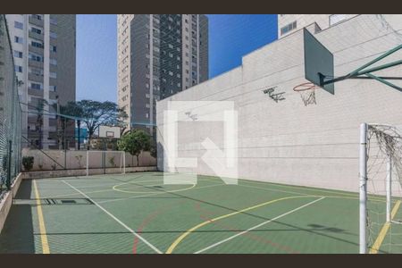 Quadra Esportiva de apartamento para alugar com 2 quartos, 59m² em Sacomã, São Paulo