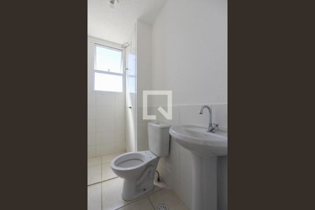 Banheiro da Suíte de apartamento para alugar com 2 quartos, 52m² em Jardim dos Comerciários, Belo Horizonte