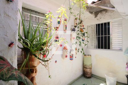 Jardim interno da Casa 1 de casa à venda com 7 quartos, 450m² em Vila Nova Manchester, São Paulo