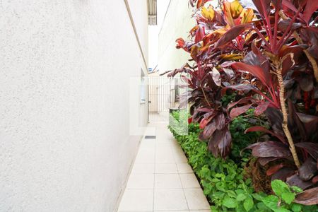 Casa para alugar com 3 quartos, 90m² em Jardim São Luís, São Paulo