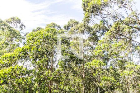Vista da Varanda de apartamento para alugar com 3 quartos, 201m² em Residencial Tambore Iii, Santana de Parnaíba