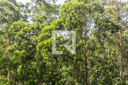 Vista da Varanda de apartamento para alugar com 3 quartos, 201m² em Residencial Tambore Iii, Santana de Parnaíba