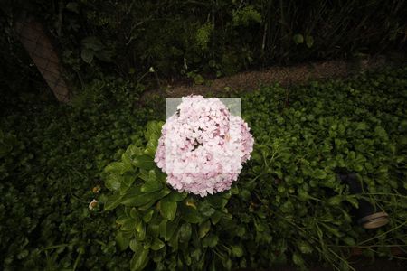 jardim de casa de condomínio à venda com 3 quartos, 152m² em Aconchego da Serra, Itabirito