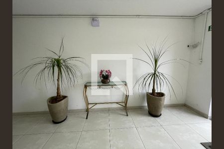 Hall de entrada de apartamento para alugar com 2 quartos, 68m² em Colinas de Cotia, Cotia