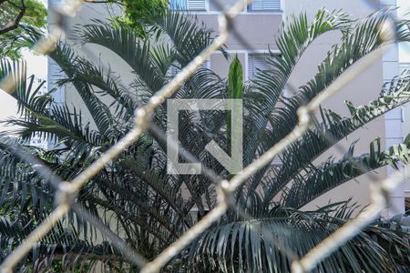Vista da Sala de apartamento para alugar com 3 quartos, 55m² em Jardim Leonor, São Paulo