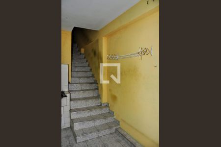 Detalhe - Área de Serviço e Quintal de casa para alugar com 1 quarto, 60m² em Jardim Vivan, São Paulo