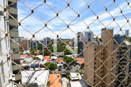 Sala - Vista de apartamento para alugar com 3 quartos, 160m² em Cambuí, Campinas