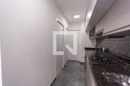 Cozinha de apartamento para alugar com 2 quartos, 36m² em Cidade Patriarca, São Paulo