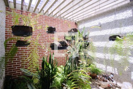 Sala de casa para alugar com 5 quartos, 216m² em Tatuapé, São Paulo